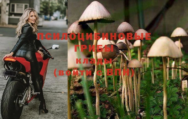 прущий лед Абинск