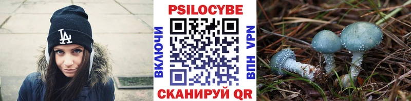 Псилоцибиновые грибы MAGIC MUSHROOMS  Фрязино 