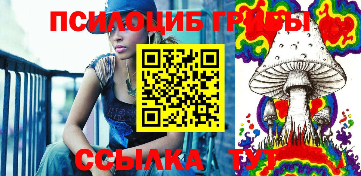 Псилоцибиновые грибы ЛСД  Псилоцибиновые грибы мухоморы  купить наркоту  Фрязино  Вход с VPN 