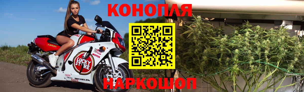 Бошки марихуана SATIVA & INDICA  Вход с VPN  МАРИХУАНА ГИДРОПОН  Марихуана план  Конопля Bruce Banner  Фрязино 